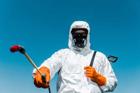 Lawn Pest Control in Descanso, CA